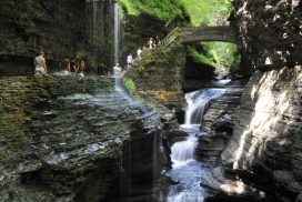 Watkins Glen Statepark